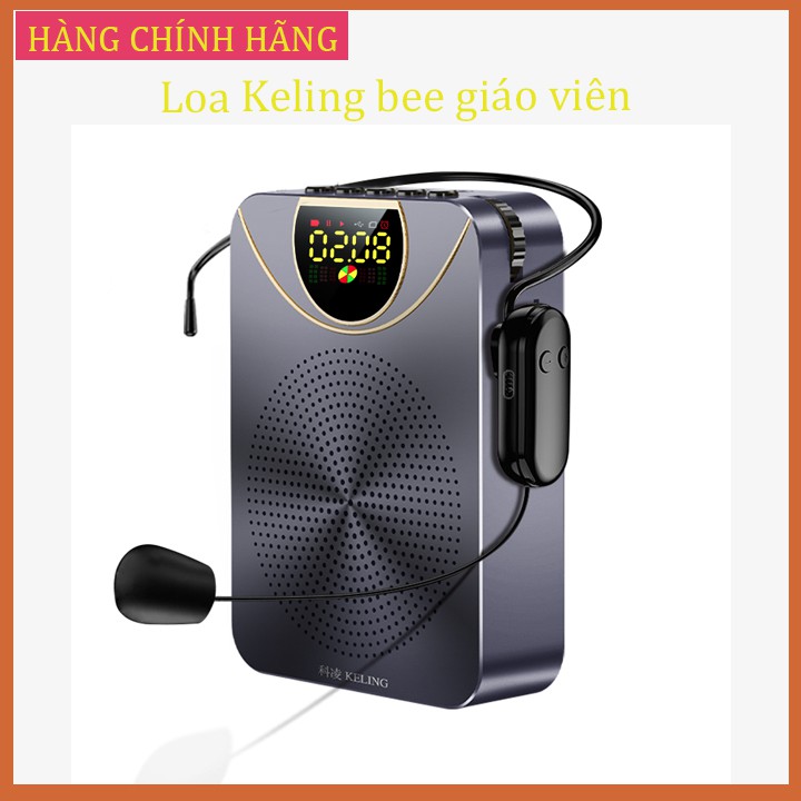 Loa Keling bee giáo viên