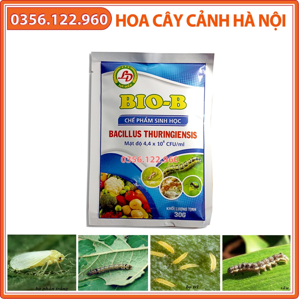 Chế phẩm trừ sâu sinh học Bio-B gói 30g