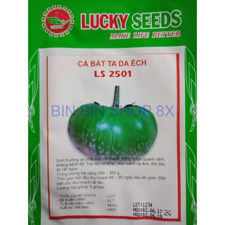 Hạt giống cà bát ta da ếch - 2gr