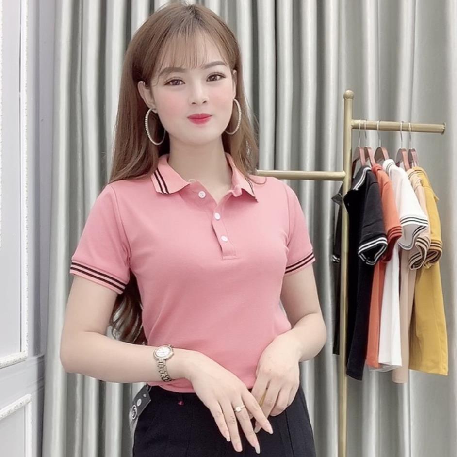 Áo Thun Polo Nữ Trơn Basic Tay Ngắn Cổ Bẻ Cotton Trẻ trung