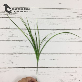 Phụ kiện chụp hình sản phẩm - cỏ dài