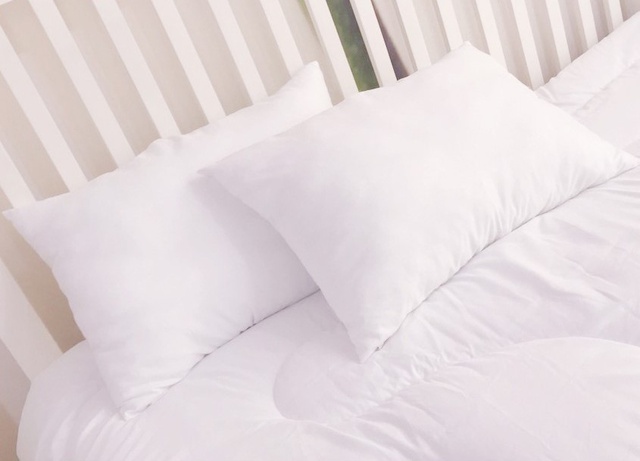 Ruột gối đơn 45cm x 65cm  Sông Hồng