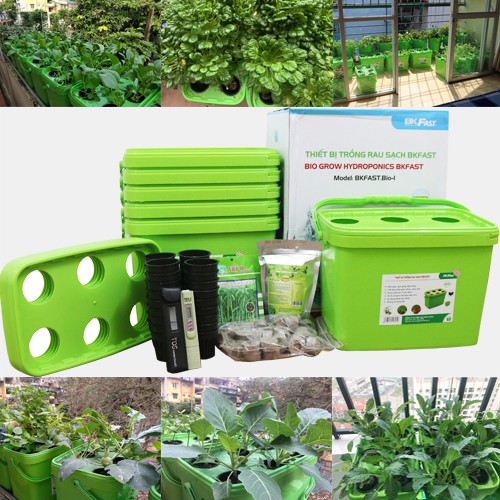 (Chính hãng rẻ nhất) Thiết bị trồng rau sạch thuỷ canh tĩnh BKFAST dễ dàng trồng rau sạch không cần 