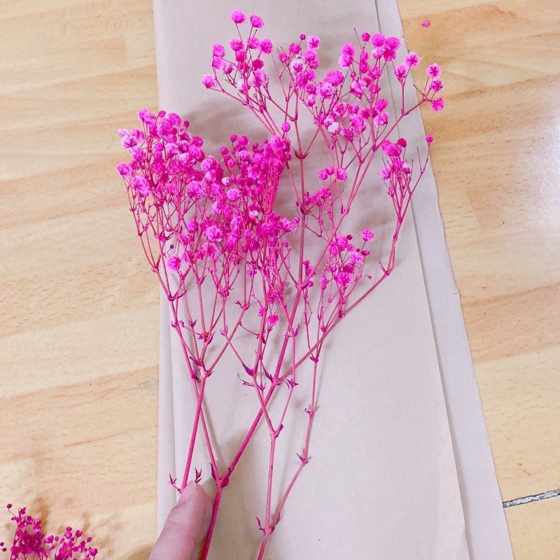 Hoa baby Hồng đậm❤️FREESHIP❤️ Gypsophila hoa khô trang trí phòng ngủ, làm đồ handmade