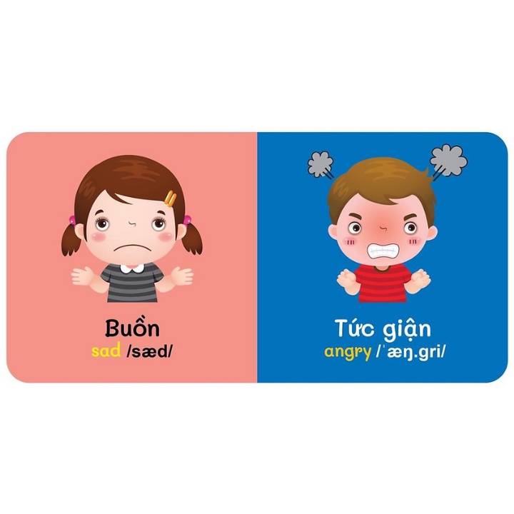 Sách - Từ Điển Bằng Hình Đầu Tiên Của Bé - Emotions - Cảm Xúc (Song Ngữ Anh - Việt)