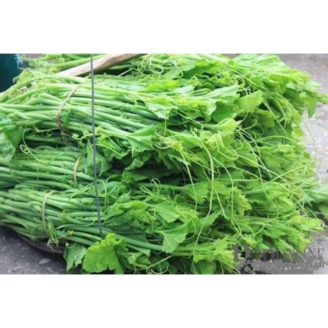 Hạt giống rau bí đỏ siêu ngọn