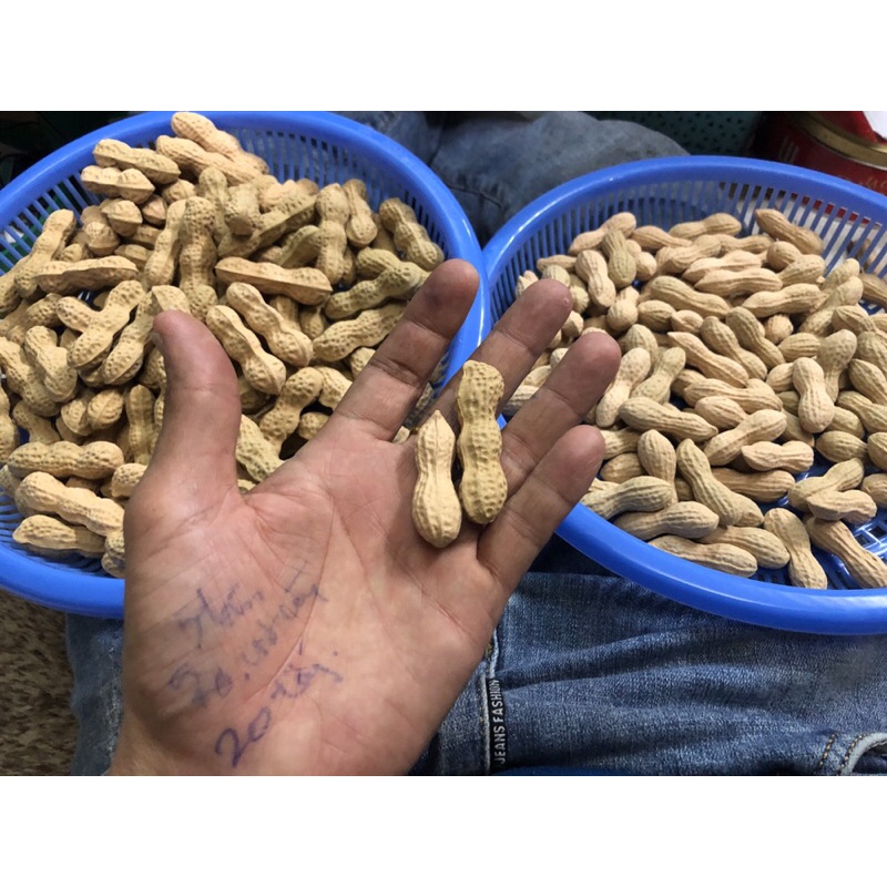 Đậu Phộng( Lạc) —Chất đất: Đoàn sa.