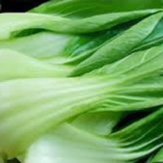 20gram HẠT GIỐNG CẢI THÌA