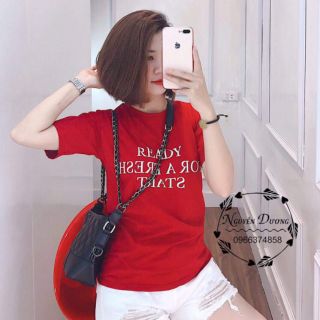 Combo Áo phông Ready