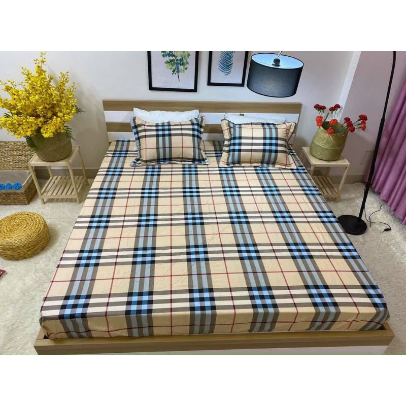 Bộ ga gối cotton  Hàn quốc  áo ôm dây kéo M6/ M8