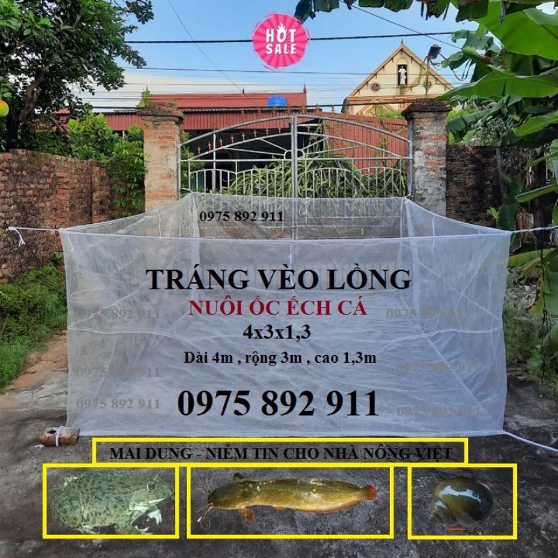 TRÁNG NUÔI ỐC NHỒI - GIÁ SIÊU RẺ