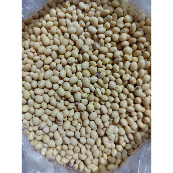 Đậu Tương Quê ( Chuẩn Mới ) 1 Kg