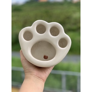 Chậu chân mèo trồng sen đá, sen mông