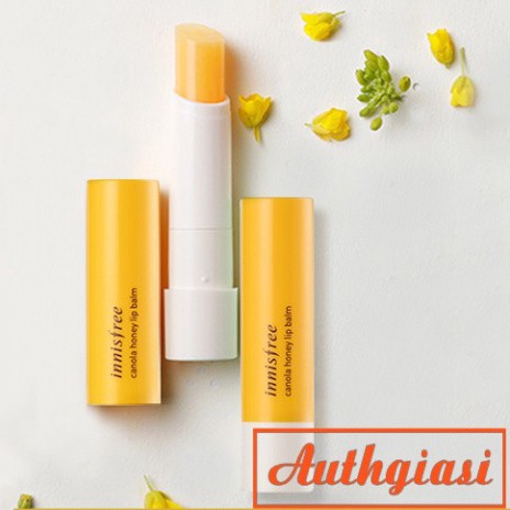 [New 2018] Son dưỡng môi Innisfree Canola Honey Lip Balm mật ong