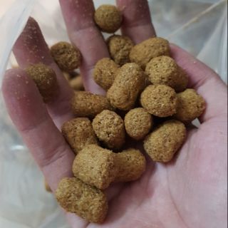 Mazuri 5M21 - thức ăn cho iguana và rùa cạn (gói 100gram)