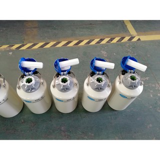 Bình chứa Nitơ lỏng YDS-3 nắp xanh