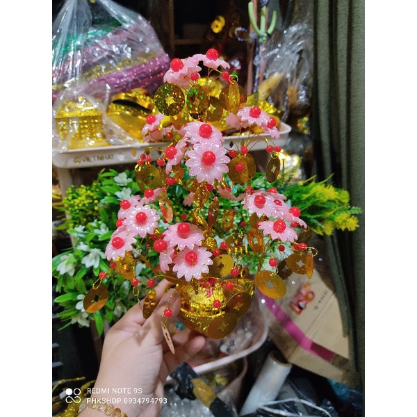 Cây cành vàng lá ngọc lá đồng tiền hoa hồng 30cm phk shop