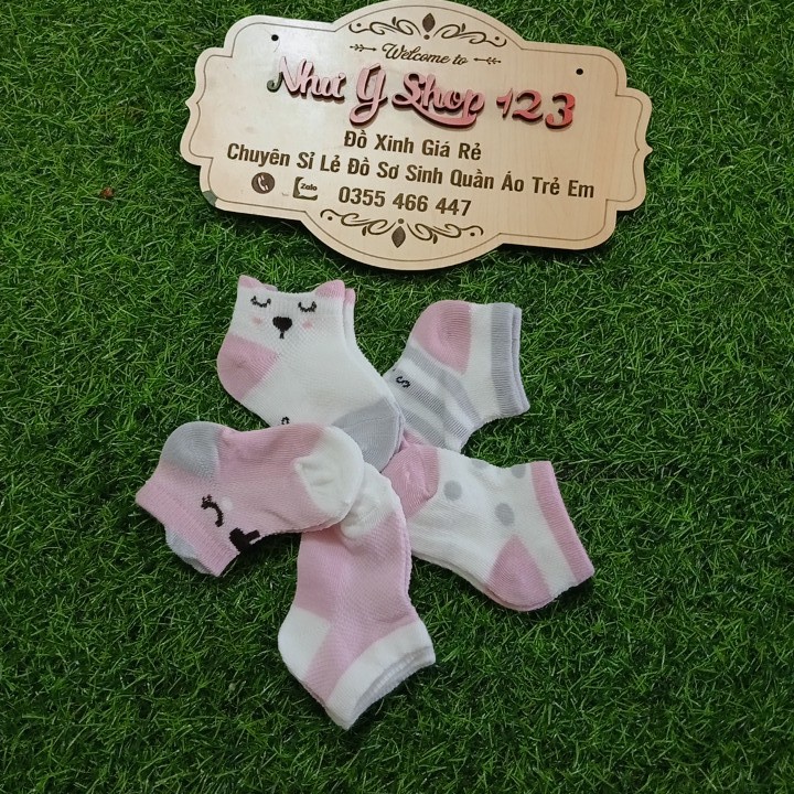 B28 - Set 5 Đôi Tất Quảng Châu Điều Hòa Cotton Cổ thấp Kid's Socks Túi Zip Mềm Mại Thoáng Khí Cho Bé Từ 0-3 Tuổi