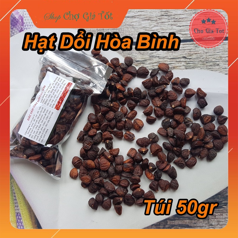 Túi 50gr (hơn 150 hạt) Hạt Dổi Lạc Sơn Hòa Bình gia vị Tây Bắc