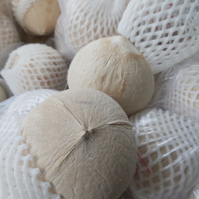 Dừa xiêm big size, set 6 trái( giao liền 1h)