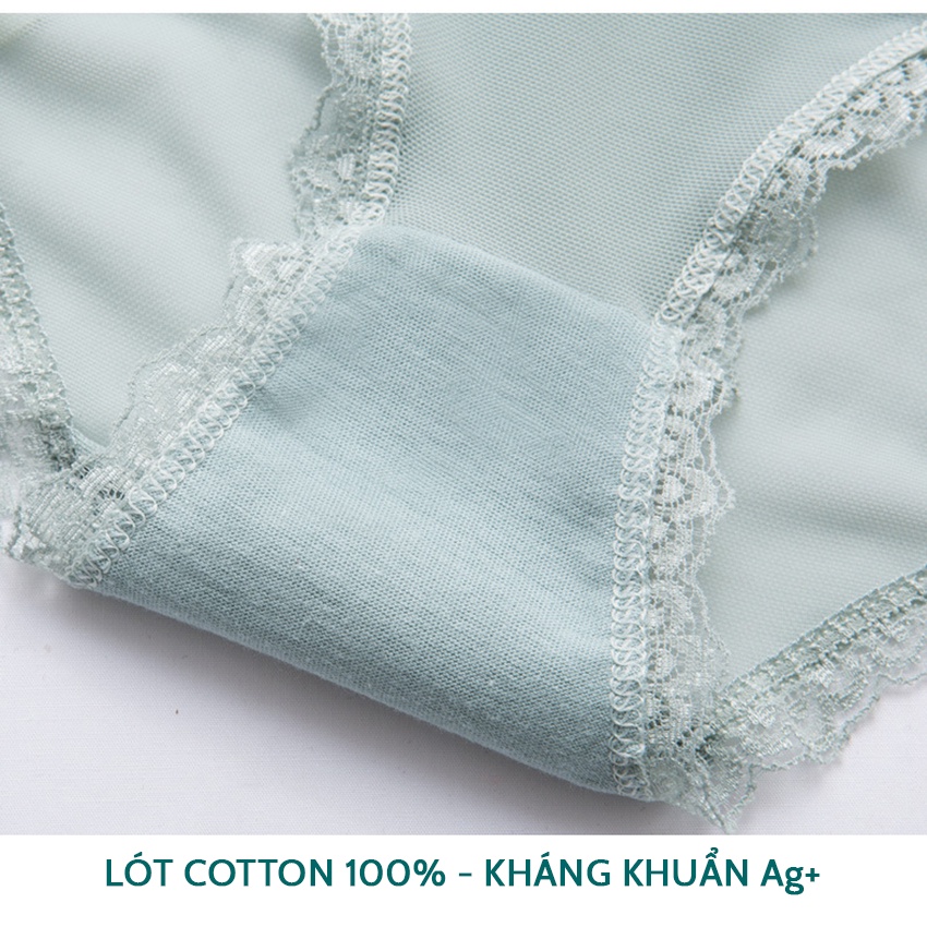 Quần lót nữ ren Venuskin siêu mềm min thoáng mát cạp vừa size lớn Havana FLQ154