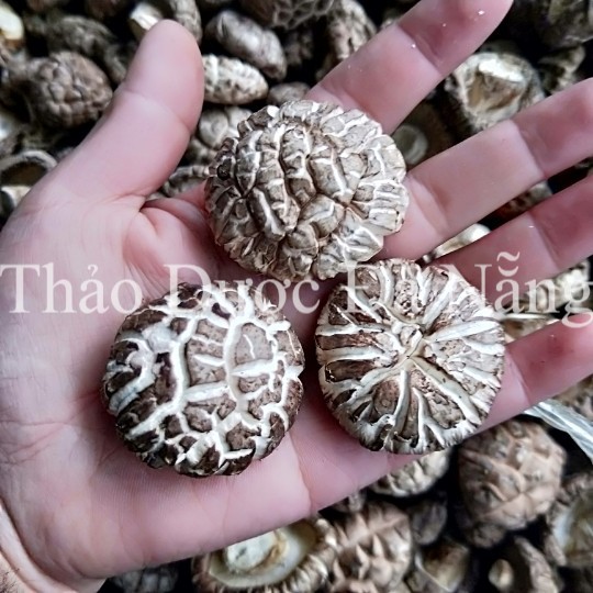 Nấm Đông Cô Loại 1,khô to 100 gram.