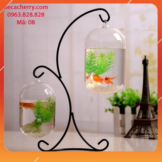 Bể cá mini chữ X 08 ( Tặng kèm combo phụ kiện trang trí )