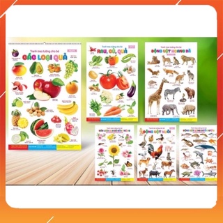 Bộ Tranh Treo Tường Về Thế Giới Xung Quanh 14 Chủ Đề