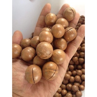 Mix 3 Loại Hạt: Óc Chó - Hạnh Nhân - Mắc Ca