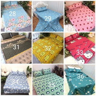 Trọn bộ 5 món chăn ga gối hè poly mới nhất