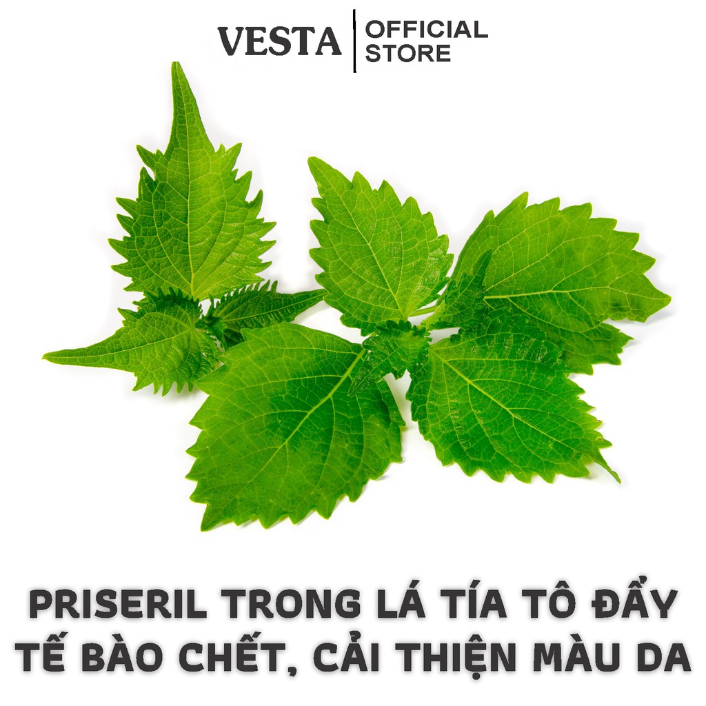 Bột Tía Tô Nguyên Chất Vesta Hủ 180ml