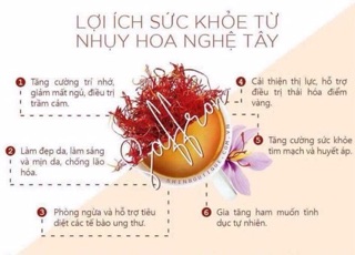Nhuỵ hoa Nghệ Tây