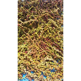 trái đủng đỉnh khô 1kg