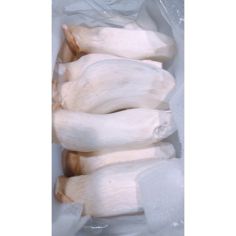 Nấm đùi gà non gói 1kg