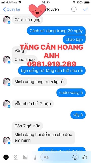 Trà Thảo Mộc Tăng Cân Hoàng Anh