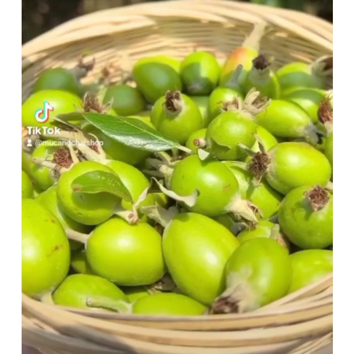 Táo mèo bao tử, táo mèo Yên Bái túi 1kg