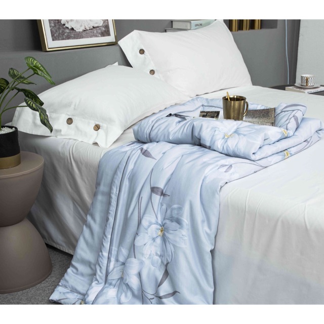 Chăn hè Tencel Zazza