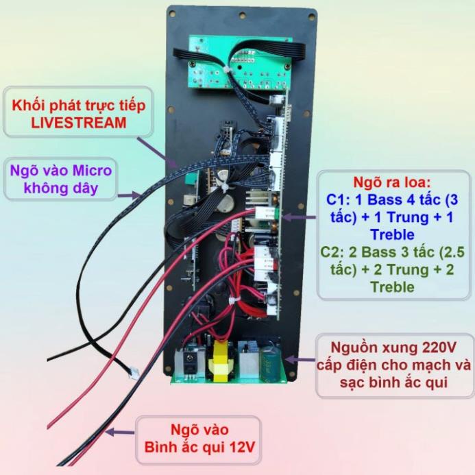 Mạch loa kéo TPA3116D2 150W LIVESTREAM - DSP lập trình chống hú loa kéo 4 – 3 tấc ĐƠN hoặc 3 – 2.5 tấc ĐÔI Kèm Micro