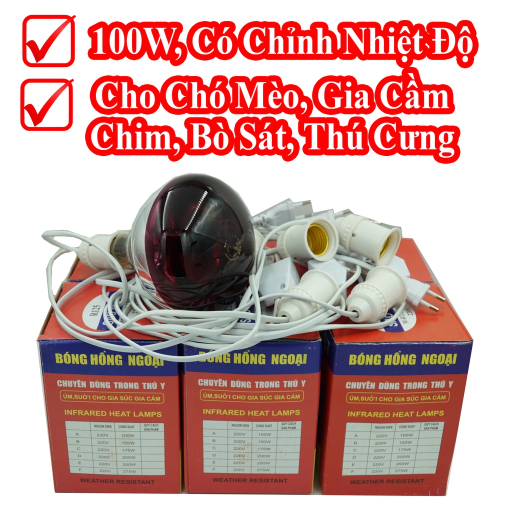 Bộ Bóng Đèn Sưởi ,Úm Hồng Ngoại Có Chỉnh Nhiệt Độ Cho Chó Mèo, Gia Súc Gia Cầm, Thú Cưng, Pet, Chim, Vẹt