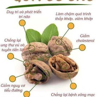 Combo ốc chó ngon tuyệt