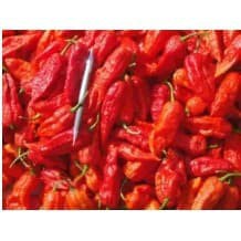 5 Hạt Giống Ớt Ma Siêu Cay Brut Jolokia tặng kích mầm