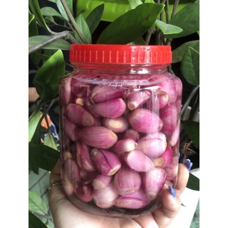 CỦ KIỆU HUẾ NGÂM ĐƯỜNG