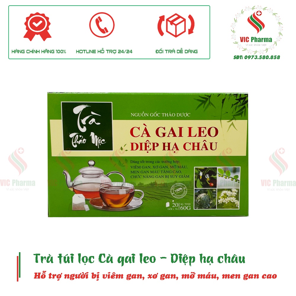 Trà túi lọc Cà gai leo + Diệp hạ châu hỗ trợ làm mát gan - Hộp 20 gói