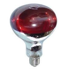 Bóng đèn sưởi gia cầm 100W, 150W, 175W, 200W, 250W
