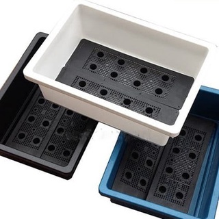 Khay trồng rau sạch, chậu trồng rau thông minh kt 48x34x16 cm