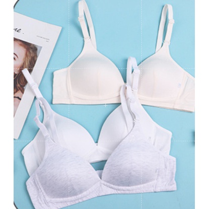 Bra / Áo Ngực Cotton Nữ Sinh Xuất Đông Âu ( A202 ). | BigBuy360 - bigbuy360.vn