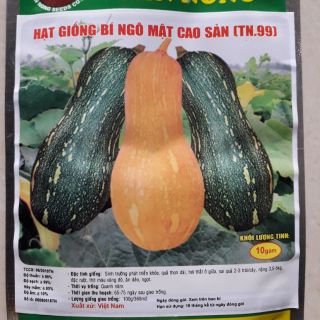 Hạt giống bí đỏ mật cao sản