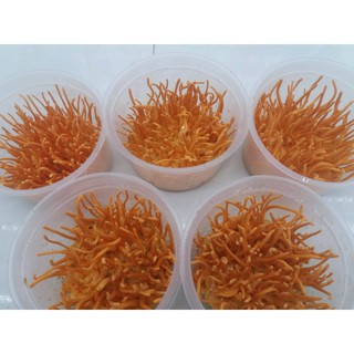Nấm Đông Trùng Hạ Thảo tươi 200g