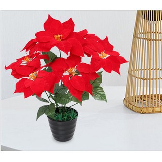 Cây giả - Cây Trạng Nguyên cao 50cm, 5 bông -  Không Kèm Chậu