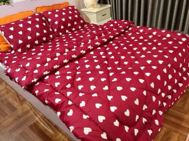 Bộ chăn phao kèm ga chun 2 vỏ gối cotton poly | BigBuy360 - bigbuy360.vn